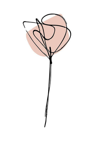 Minimal Canna Flower White Modern Wood Framed Art Print with Double Matting by Haase, Andrea