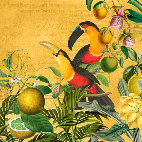 Exotic Birds Jungle Gold Ornate Wood Framed Art Print with Double Matting by Haase, Andrea