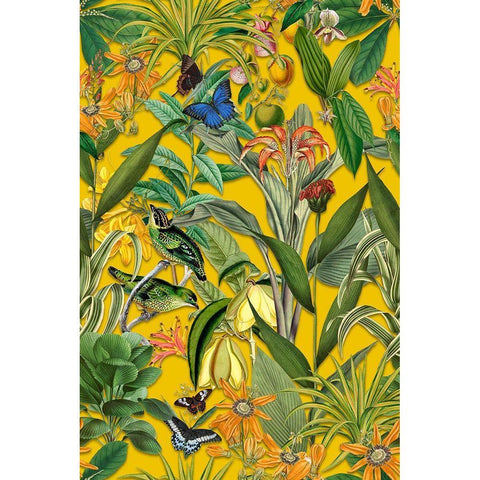 The Jungle of the Birds White Modern Wood Framed Art Print by Haase, Andrea