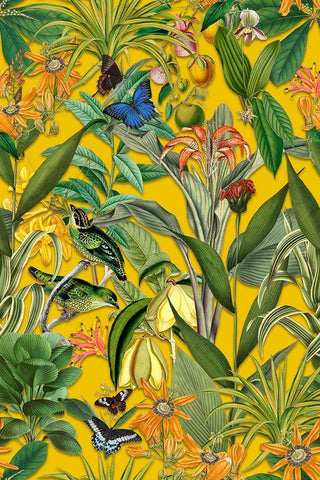 The Jungle of the Birds White Modern Wood Framed Art Print with Double Matting by Haase, Andrea