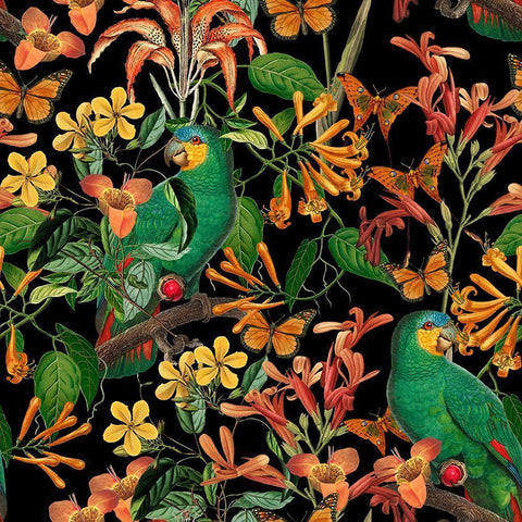 Happy Parakeets Gold Ornate Wood Framed Art Print with Double Matting by Haase, Andrea