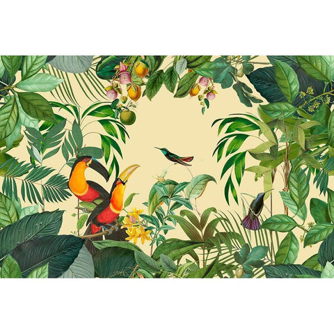 Toucans Paradise Garten Black Modern Wood Framed Art Print with Double Matting by Haase, Andrea