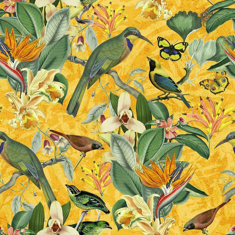 Birds Happy Summer Black Ornate Wood Framed Art Print with Double Matting by Haase, Andrea