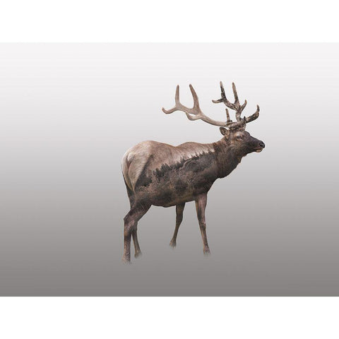 Nordic Deer Black Modern Wood Framed Art Print with Double Matting by Haase, Andrea