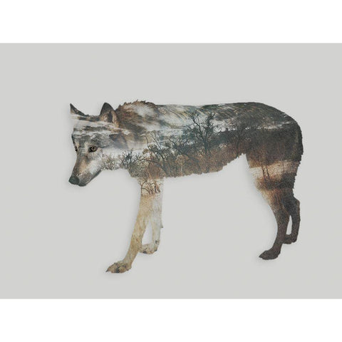 Nordic Wolf Black Modern Wood Framed Art Print with Double Matting by Haase, Andrea