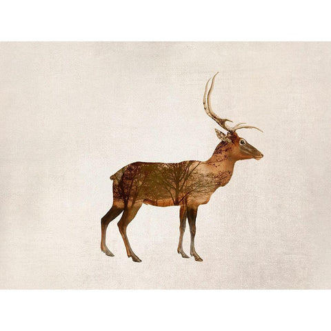 Wild Deer White Modern Wood Framed Art Print by Haase, Andrea