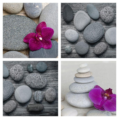 Zen Orchid Collage Black Modern Wood Framed Art Print with Double Matting by Haase, Andrea