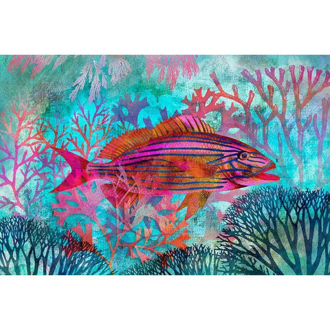 Underwater Paradise I Black Modern Wood Framed Art Print by Haase, Andrea