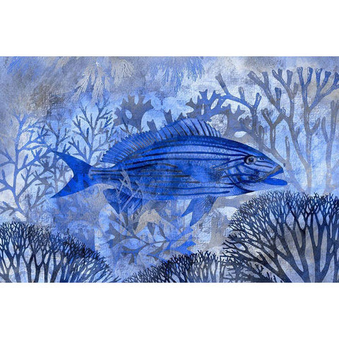 Underwater Paradise II Gold Ornate Wood Framed Art Print with Double Matting by Haase, Andrea