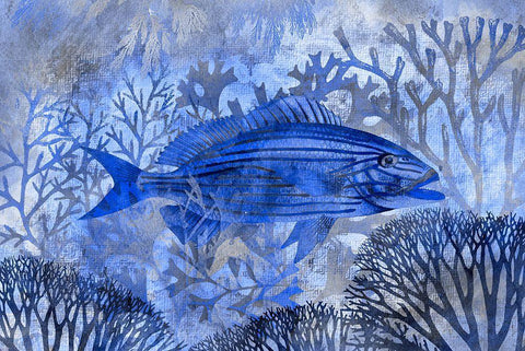 Underwater Paradise II White Modern Wood Framed Art Print with Double Matting by Haase, Andrea