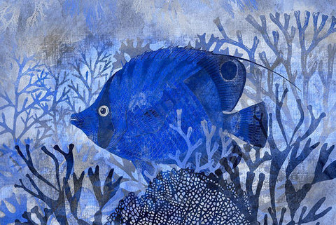 Deep Sea Paradise White Modern Wood Framed Art Print with Double Matting by Haase, Andrea