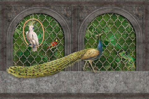 Peacocks Jungle Palace White Modern Wood Framed Art Print with Double Matting by Haase, Andrea