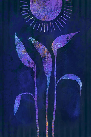 Fantasy Sunrise Black Ornate Wood Framed Art Print with Double Matting by Haase, Andrea