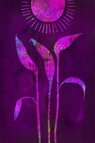 Fantasy Sunrise Black Ornate Wood Framed Art Print with Double Matting by Haase, Andrea