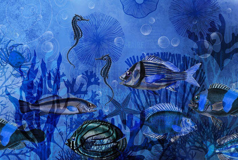 Magic Underwater World White Modern Wood Framed Art Print with Double Matting by Haase, Andrea