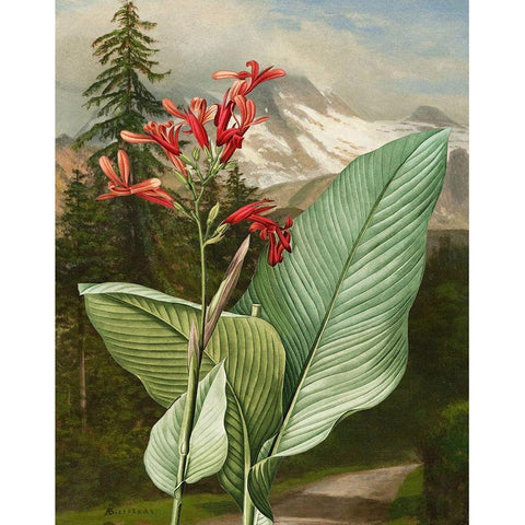 Wild Shoot II Black Modern Wood Framed Art Print by Smith, Karen