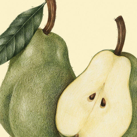 JuiceyFruit II Black Modern Wood Framed Art Print with Double Matting by Hunziker, Steve