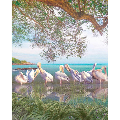 Coastal Plumage White Modern Wood Framed Art Print by Hunziker, Steve