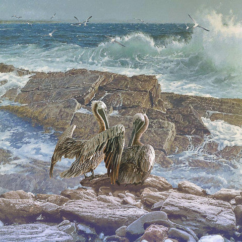 Deep Sea I Black Ornate Wood Framed Art Print with Double Matting by Hunziker, Steve