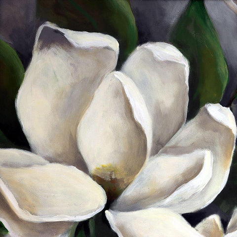 Magnolia II White Modern Wood Framed Art Print with Double Matting by Eaton, Winnie