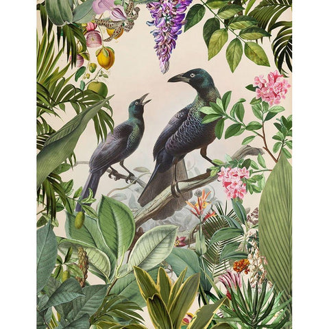 The Birds Hidden Paradise Black Modern Wood Framed Art Print with Double Matting by Haase, Andrea