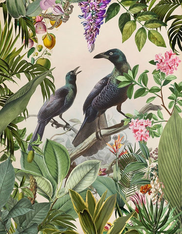 The Birds Hidden Paradise White Modern Wood Framed Art Print with Double Matting by Haase, Andrea