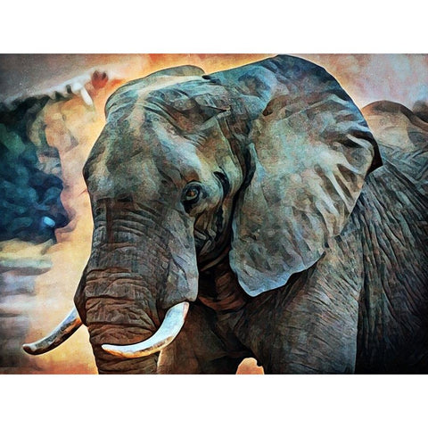 African Elephant Kicking Up Dirt White Modern Wood Framed Art Print by Aldridge, Ashley