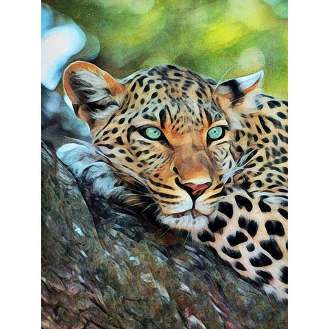 Leopard of Leisure White Modern Wood Framed Art Print by Aldridge, Ashley