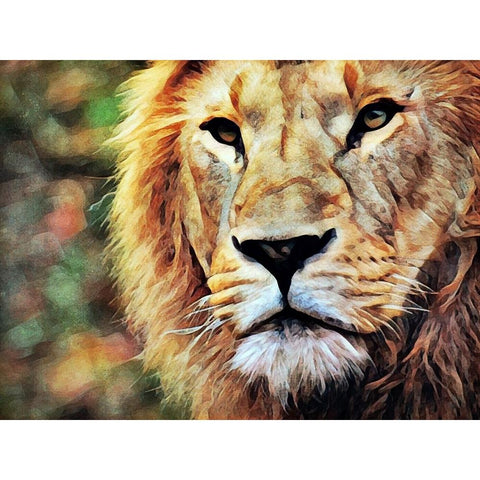 Lion Watch And Wait Black Modern Wood Framed Art Print with Double Matting by Aldridge, Ashley