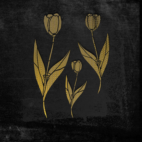 Tulip Trio II Black Modern Wood Framed Art Print by Smith, Karen