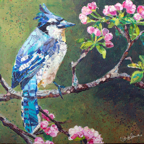 Blue Jay on Apple Blossoms White Modern Wood Framed Art Print with Double Matting by St Hilaire, Elizabeth