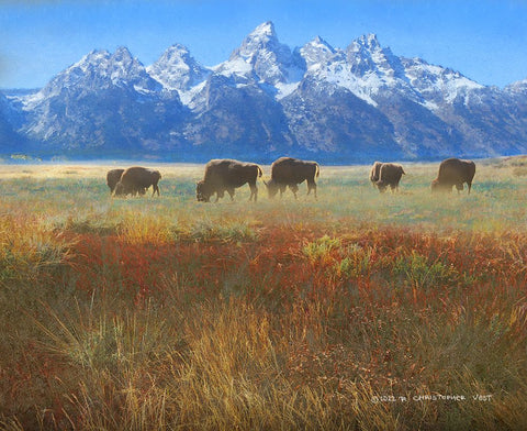 Meadow Grass Grand Teton Black Modern Wood Framed Art Print by Vest, Christopher