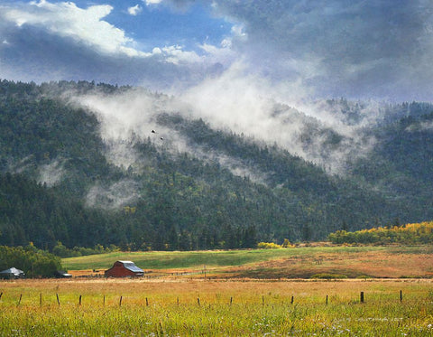 Clouds on the Hill, Idaho Farm Black Ornate Wood Framed Art Print with Double Matting by Vest, Christopher