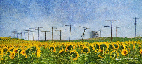 Phone Poles and Sunflowers Black Modern Wood Framed Art Print by Vest, Christopher