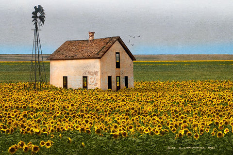 White House with Sunflowers Black Ornate Wood Framed Art Print with Double Matting by Vest, Christopher