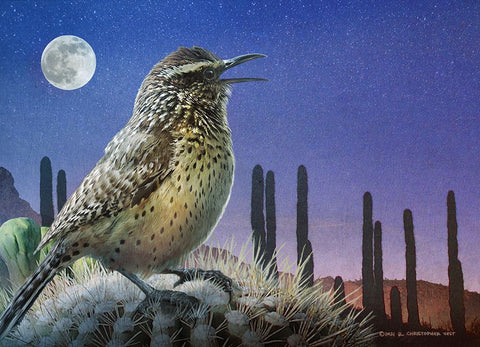 Saguaro Cactus Wren by Moonlight Black Modern Wood Framed Art Print by Vest, Christopher