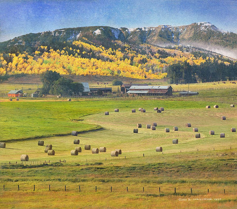 Cherry Creek Haybales Black Ornate Wood Framed Art Print with Double Matting by Vest, Christopher