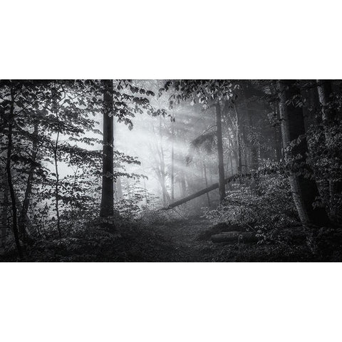 point of no return Black Modern Wood Framed Art Print with Double Matting by Maier, Norbert