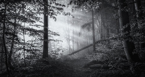 point of no return White Modern Wood Framed Art Print with Double Matting by Maier, Norbert