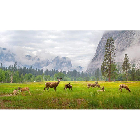 A Feeling of Ancient Time Black Modern Wood Framed Art Print with Double Matting by Mao, Dianne