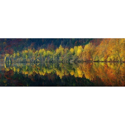 Autumnal silence Gold Ornate Wood Framed Art Print with Double Matting by Jochen, Burger
