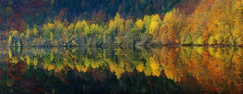 Autumnal silence White Modern Wood Framed Art Print with Double Matting by Jochen, Burger