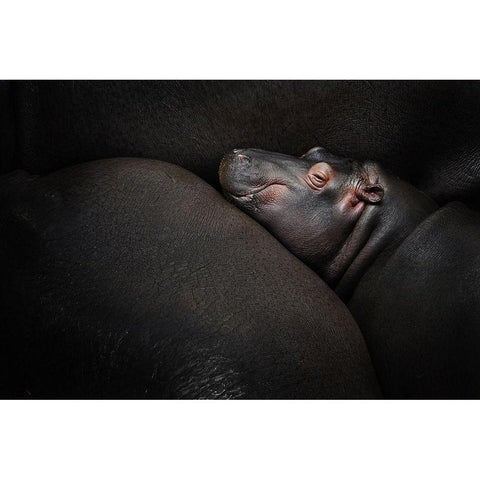 Dreamin Gold Ornate Wood Framed Art Print with Double Matting by Vales, Zdenek