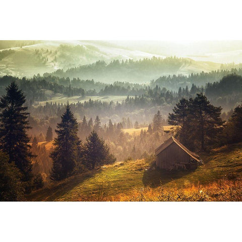 Untitled White Modern Wood Framed Art Print by Hricko, Stanislav