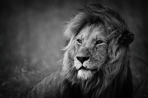 Regal White Modern Wood Framed Art Print with Double Matting by Alnaser, Mohammed