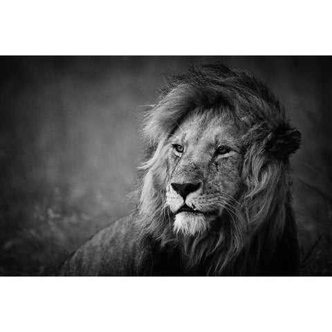 Regal Black Modern Wood Framed Art Print with Double Matting by Alnaser, Mohammed