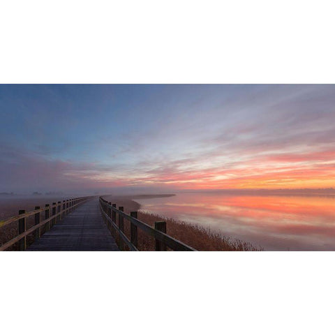 Love a morning like this II. White Modern Wood Framed Art Print by Londal, Leif