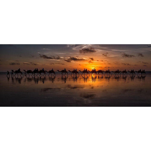 Sunset Camel Safari Gold Ornate Wood Framed Art Print with Double Matting by Wolbers, Louise