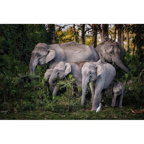 tasty leaves Gold Ornate Wood Framed Art Print with Double Matting by Stranak, Pavol