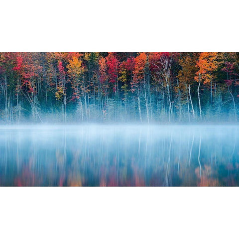 Morning Reflection Black Modern Wood Framed Art Print by Fan, John